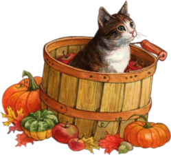 őszi állatok_199.png